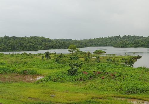 Pawale Dam