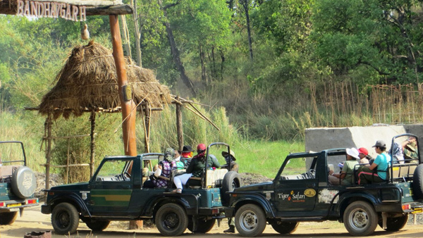 Adventure jungle safari trips